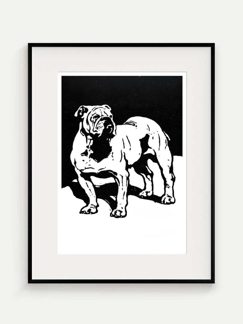 Britský Bulldog, William Nicholson, 1899