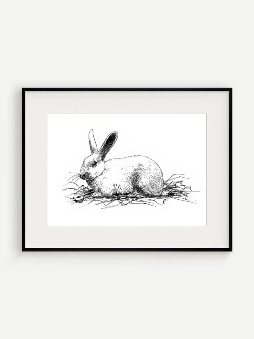 Králik, Henri Verstijnen, 20. storočie