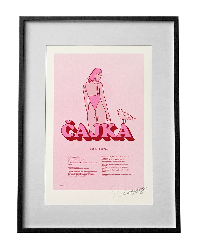 Čajka / Kvalitný Slang A3