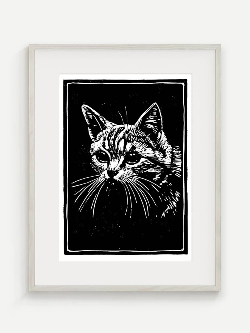 Mačka, Ruth Mary Hallock, 20. storočie