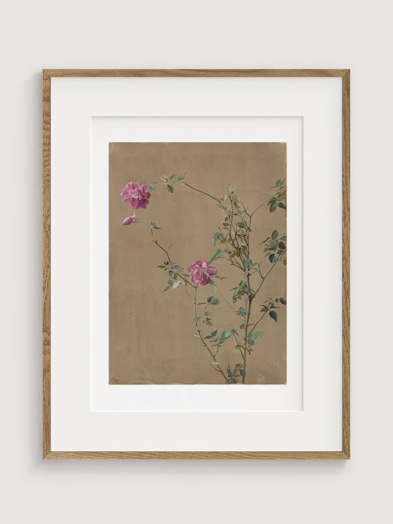 Pink Roses, Fidelia Bridges, 1875