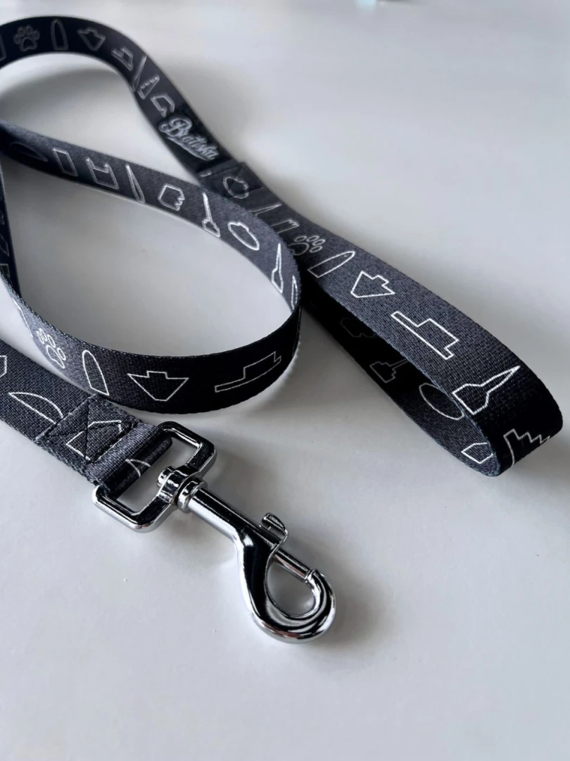 Dog Leash Bratiska / Bratislava/ Slovakia